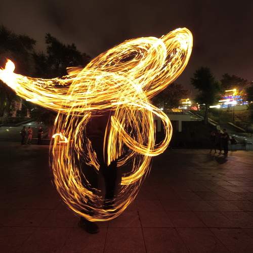 Photo #7395310