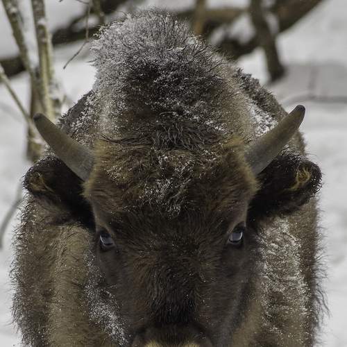 Photo #7395585