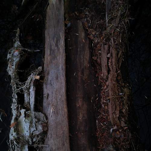 Photo #7396484