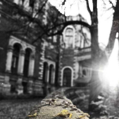 Фотография #7396663