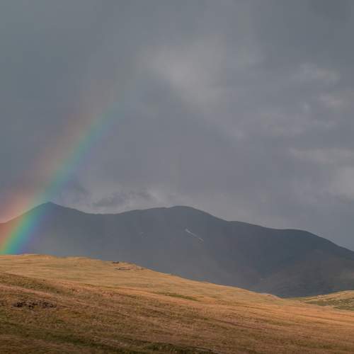 Photo #7397015