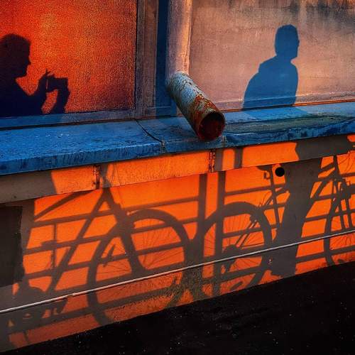 Photo #7397350