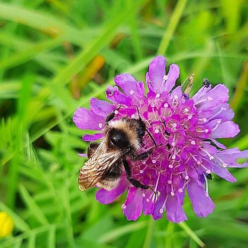 Photo #7398464