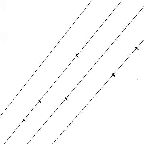 Photo #7398504