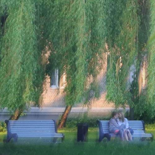 Photo #7398846