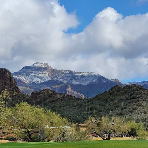 Photo #7399046