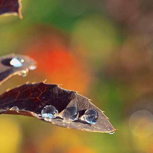 Photo #7399401