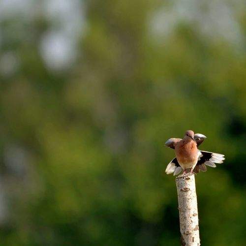 Photo #7399405