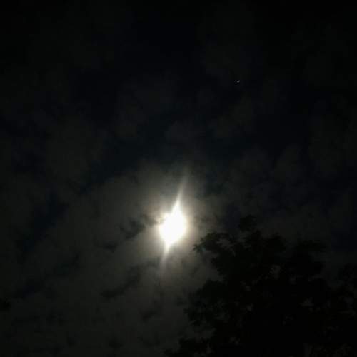 Photo #7399419