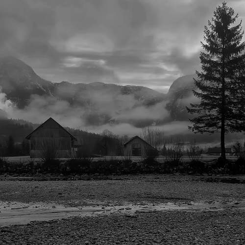 Photo #7399637