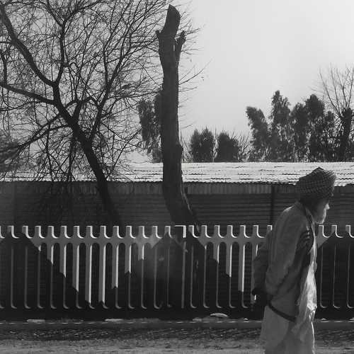 Photo #7399668