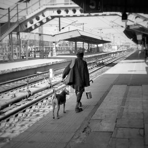 Photo #7399674
