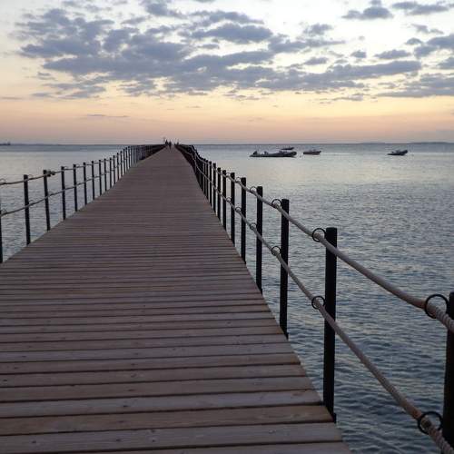 Photo #7399680