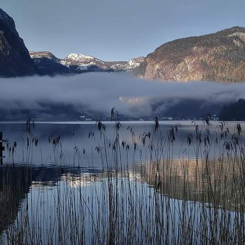 Photo #7399697