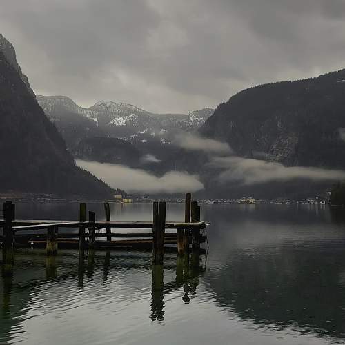 Photo #7399710