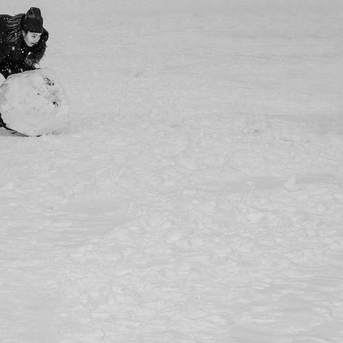 Photo #7399720