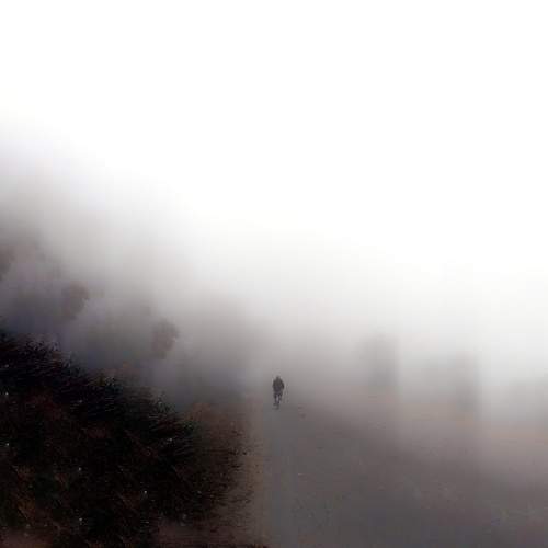Through the winter