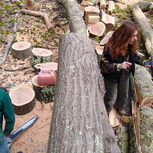 Photo #7399904