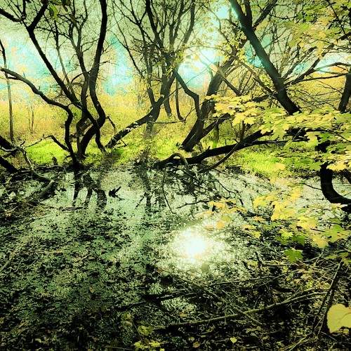 Photo #7399906