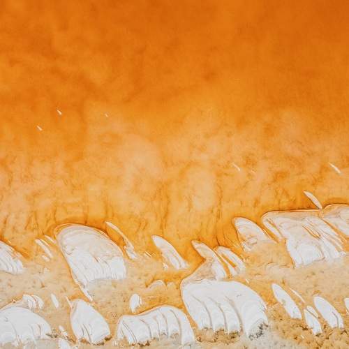 Photo #7400467
