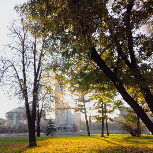 Photo #7400516