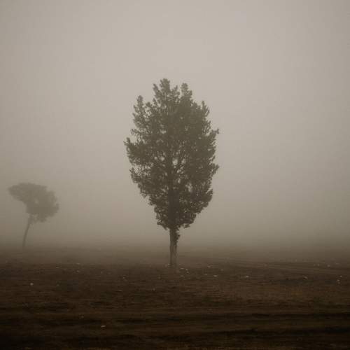 Photo #7400665