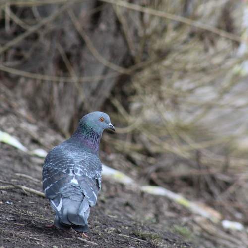 Photo #7400919