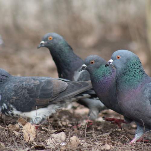 Photo #7400941
