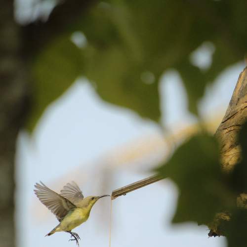 Photo #7400958
