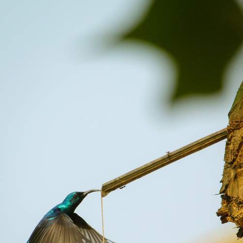 Photo #7400960