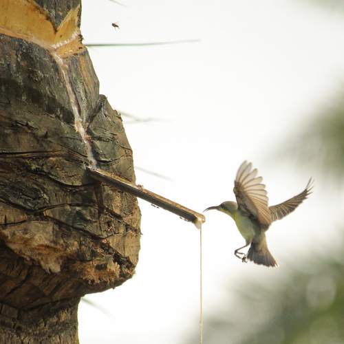 Photo #7400963