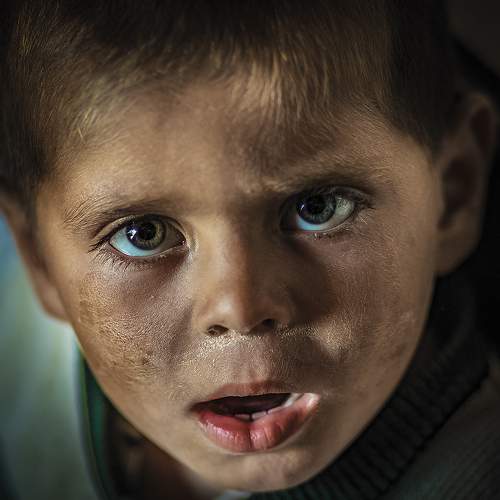 Photo #7401173