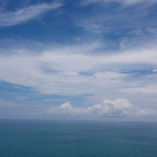 Photo #7401407