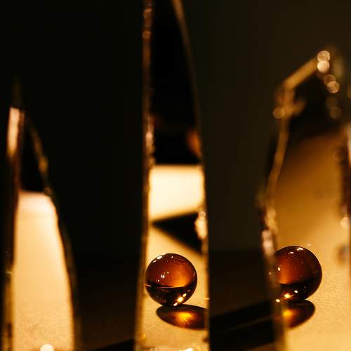 Photo #7401610