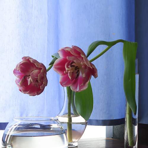 Photo #7401695