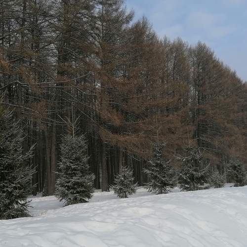 Photo #7401696
