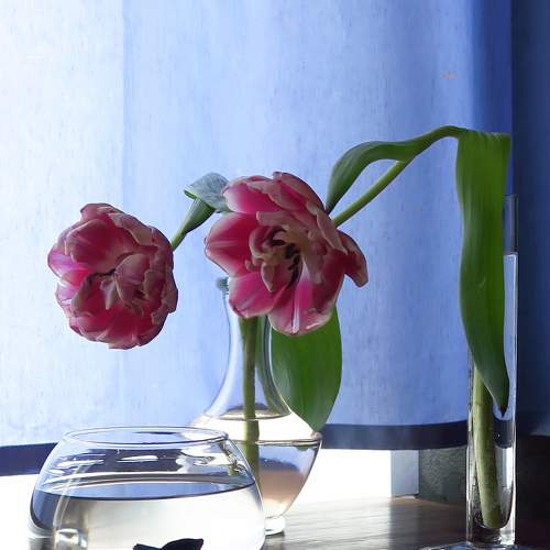 Photo #7401775