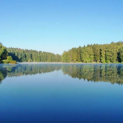 Photo #7401987