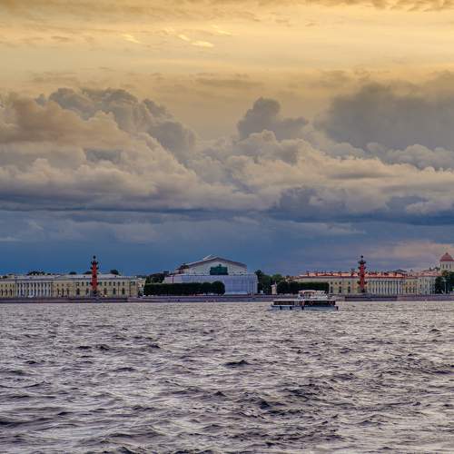 Photo #7402065