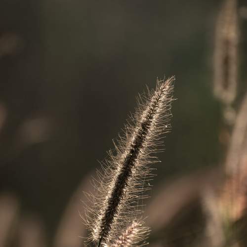 Photo #7402101