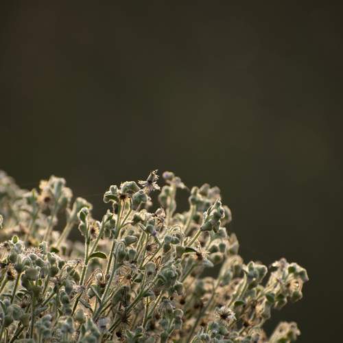 Photo #7402151