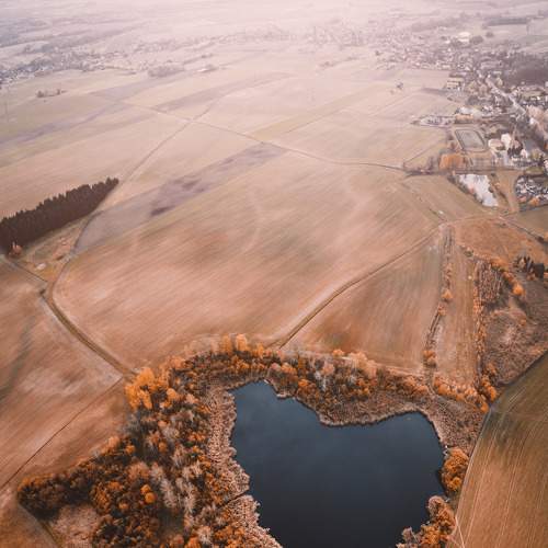 Photo #7402405