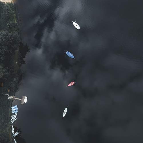 Photo #7402514