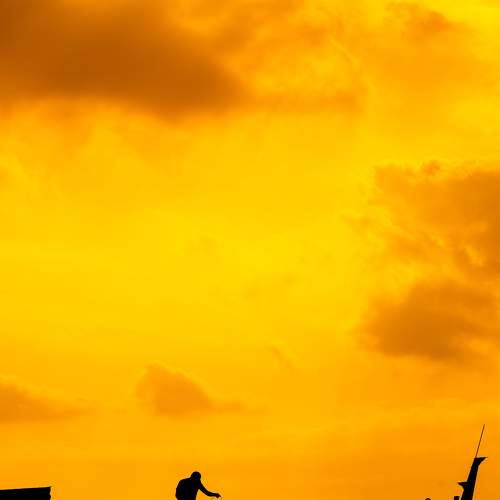 Photo #7402574