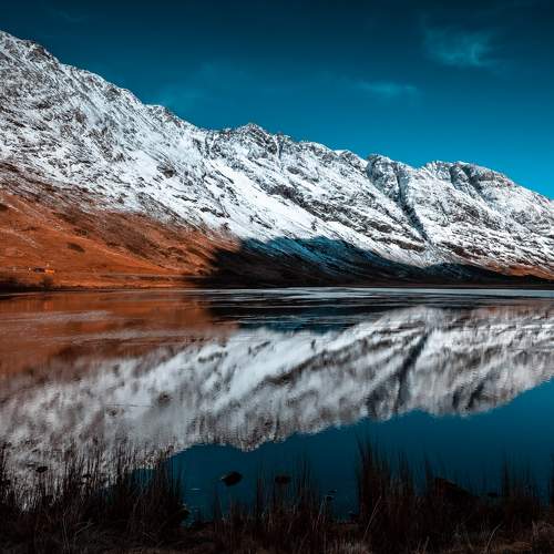 Photo #7402775