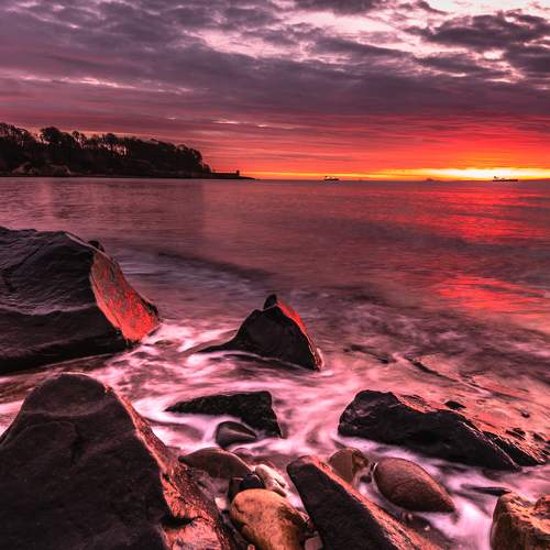 Photo #7402779