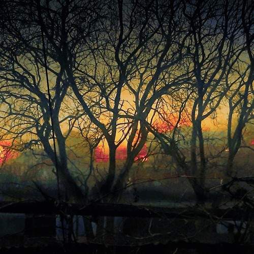 Photo #7402783