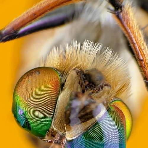 Photo #7402856