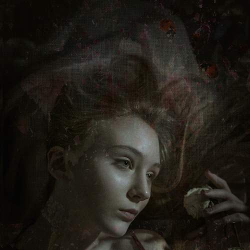 Photo #7402983