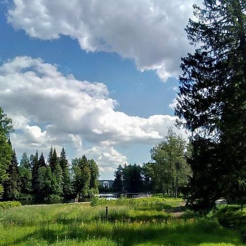 Photo #7403024